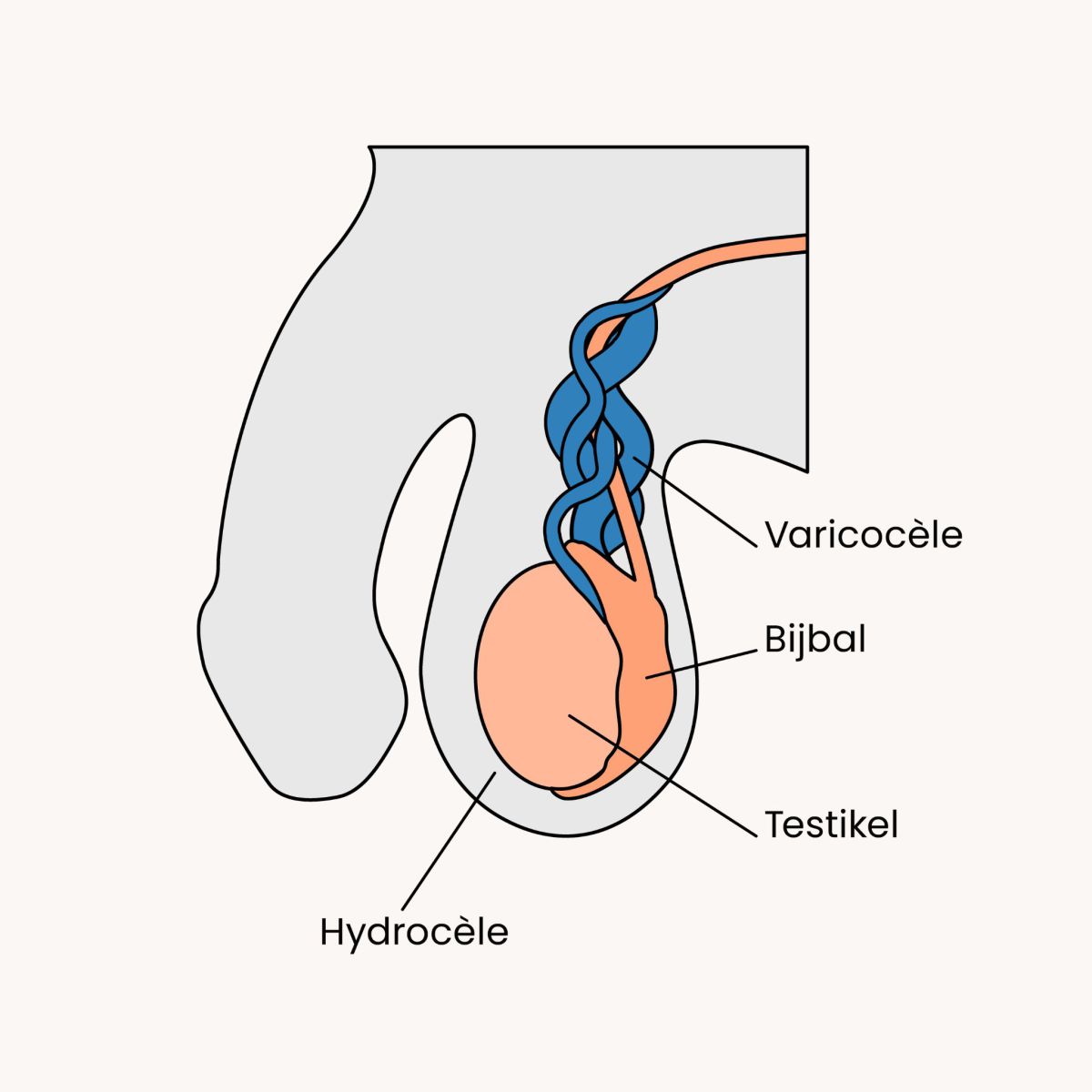 Qozogiston gimnastikachi bilan porno